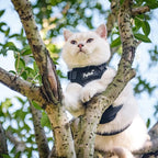 PUPTECK Cat Harness and Leash Set Escape Proof for Walking, Breathable Mash Vest Adjustable Harness for Cats Puppy Small Animals, Reflective at Night, Black Medium