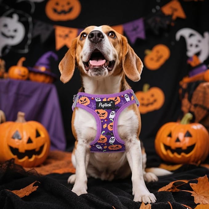 PUPTECK Dog Harness and Leash Set for Small Medium Dogs No Pull Step-in Soft Mesh Puppy Cat Vest Harnesses Reflective at Night, Halloween Purple, M