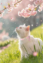Cat Collar, Pack of 2 Summer Kitten Collars-Cute Lime and Strawberry Pendants-Breakaway Kitty Collars,Cat Collar with Bell, for Girl & Boy Cats