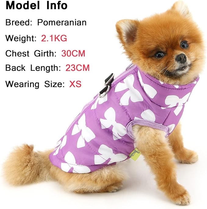 SMALLLEE_LUCKY_STORE Pet Water Resistant Winter Jacket Vest with D-Ring for Small Dog Cat Zip-up Padded Puppy Coat Chihuahua Yorkie Kitten Warm Clothes, Purple, XL