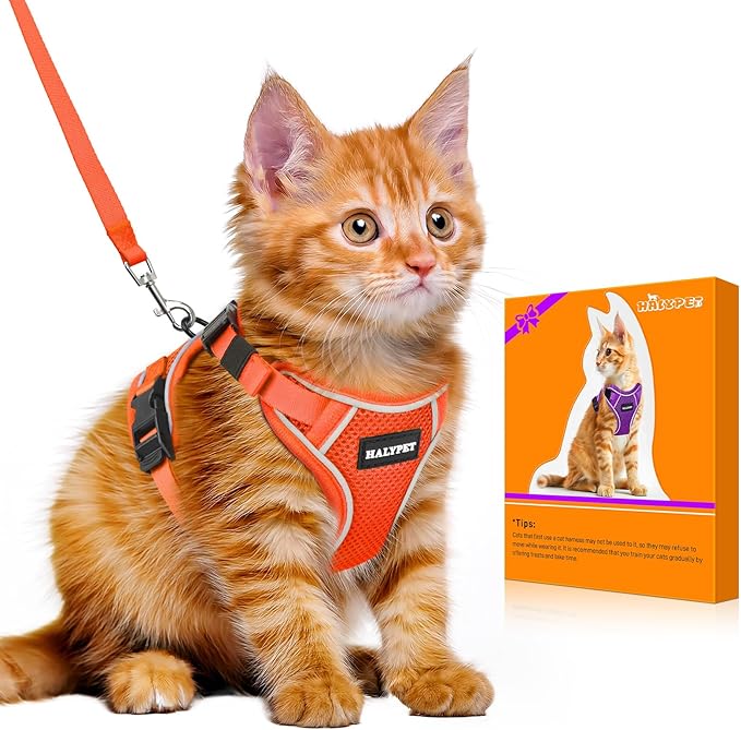 Halypet Cat Harness and Leash Set [MAX Safety 4th-Gen Upgrade] Escape Proof Adjustable Cat Leash Comfortable Soft Vest Easy to Wear Kitten Harness with Reflective Strip for Cats Walking, M Orange