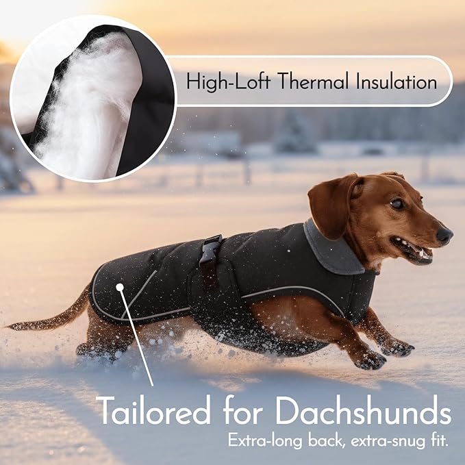 Waterproof & Windproof Dachshund Coat with Adjustable Bands, Thick Weiner Vest Raincoat for Large Sausage Dog, Weenie Winter Puffer Coat, Outdoor Snowsuit for Dachshunds, Male Female Dog(Black, L)