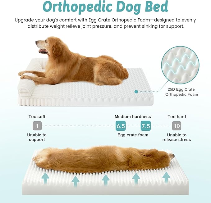 Cute Dog Bed for Extra Large Dogs, Faux Rabbit Fur Orthopedic Foam Dog Bed with Sides, Removable Washable Cover & Waterproof Lining, Comfortable Pet Couch, Cream (48" L x 35" W x 7.5" Th)