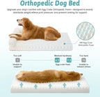 Cute Dog Bed, Faux Rabbit Fur Orthopedic Foam Dog Bed with Sides, Removable Washable Cover & Waterproof Lining, Comfortable Pet Couch for Medium Dogs, Cream (36" L x 27" W x 6.5" Th)