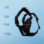 Voyager Step-in Pet Harness - All Weather Mesh, Adjustable Step in Harness for Cats and Dogs by Best Pet Supplies - Black, L