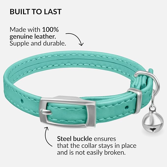 CollarDirect Leather Cat Collar with Bell - Kitten Collar, Small and Big Cat Collar for Boy Cats, Girl Cats with Safety Elastic Strap (Neck Fit 8"-11", Mint Green)