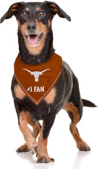 NCAA Texas Longhorns Personalized Tie Bandana for Dogs & Cats, Size Large/X-Large. Custom Dog Cat Scarf Bib for Pet. Ultimate Game-Day & Party Customizable Bandana