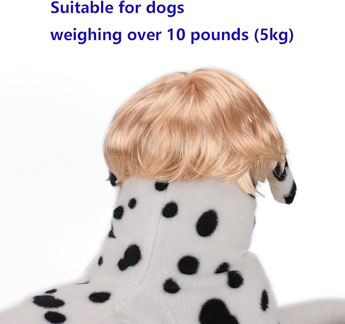Funny Cosplay Wig for Dog, Headwear Apparel, Pet Costumes, Cat Dress up for Halloween, Christmas, Parties, Festivals (Golden Straight Hair)