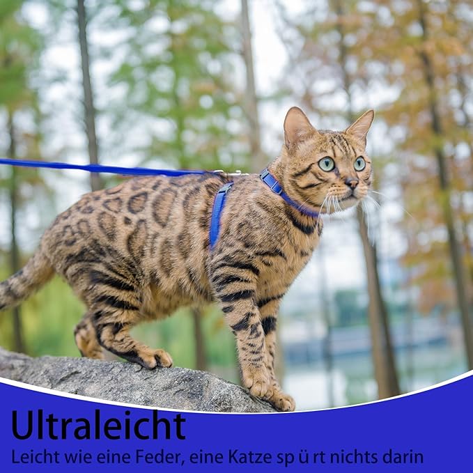 PUPTECK Adjustable Cat Harness and Leash Set Escape Proof Kitten Strap Collar for Walking Travel, Blue