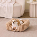 Small Dog Beds for Small Dogs - Washable Cat Beds for Indoor Cats, Rectangle Orthopedic Puppy Bed with Fluffy Removable Cover, 20x19x7inches, Cream
