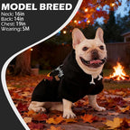 EXPAWLORER Fall Dog Hoodie-Soft and Warm Dog Sweaters, Pet Clothes Autumn Winter Coat Sweatshirt with Thanksgiving Turkey Theme Print for Puppy,Cat, Small Medium Large Dogs