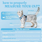 rabbitgoo Cat Harness and Leash for Walking, Escape Proof Soft Adjustable Vest Harnesses for Cats, Easy Control Breathable Reflective Strips Jacket, Light Blue, XXS