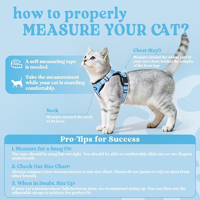 rabbitgoo Cat Harness and Leash for Walking, Escape Proof Soft Adjustable Vest Harnesses for Cats, Easy Control Breathable Reflective Strips Jacket, Light Blue, S