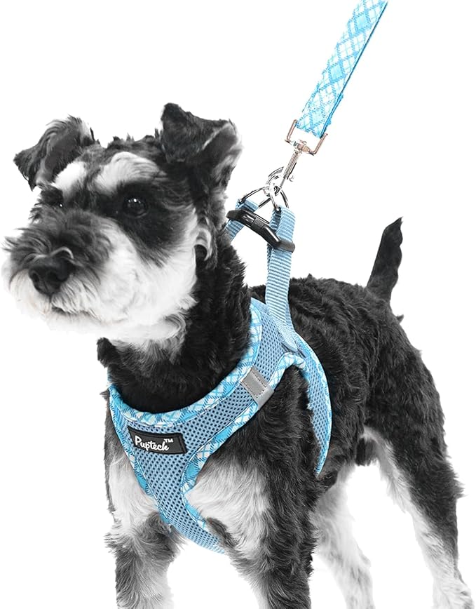PUPTECK Dog Harness and Leash Set for Small Medium Dogs No Pull Step-in Soft Mesh Puppy Cat Vest Harnesses Reflective at Night, Sky Blue, S
