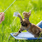 NOWFRESH Cat Wand Toy Set, 2 PCS Interactive Cat Teaser Wands with Cute Paper Mice & Paper Fish Designs, Equipped with Bells and Streamers to Captivate Your Cat’s Attention