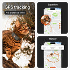 Weenect Cat XS - New GPS Tracker for Cats | Real-time Mini GPS Tracker for Cats | Smallest Model on The Market | Collar Included | Subscription Required (Black, Tracker XS)
