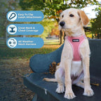 Best Pet Supplies Voyager Step-in Air All Weather Mesh Harness and Reflective Dog 5 ft Leash Combo with Neoprene Handle, for Small, Medium and Large Breed Puppies - Harness Leash Set (Pink), XS