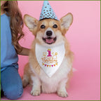 It's My 1st Birthday Dog Bandana Happy 1st Birthday Pet Triangle Scarf for Large Medium Small Dogs One Year Old Gifts Photo Prop Pet Scarf Accessories Christmas Puppy Gifts