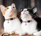 16 PCS Breakaway Cat Collars with Bells Reflective Cat Collar Safety Nylon Kitten Collars Cat Collars for Girl Boy Cats(6"-9")