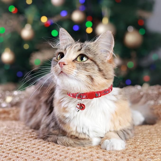 BINGPET Cat Collar, 3 Pack Adjustable Breakaway, Cute Kitty Collars with Bell, Christmas, for Girl Boy Cats & Small Pets