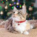 BINGPET Cat Collar, 3 Pack Adjustable Breakaway, Cute Kitty Collars with Bell, Christmas, for Girl Boy Cats & Small Pets