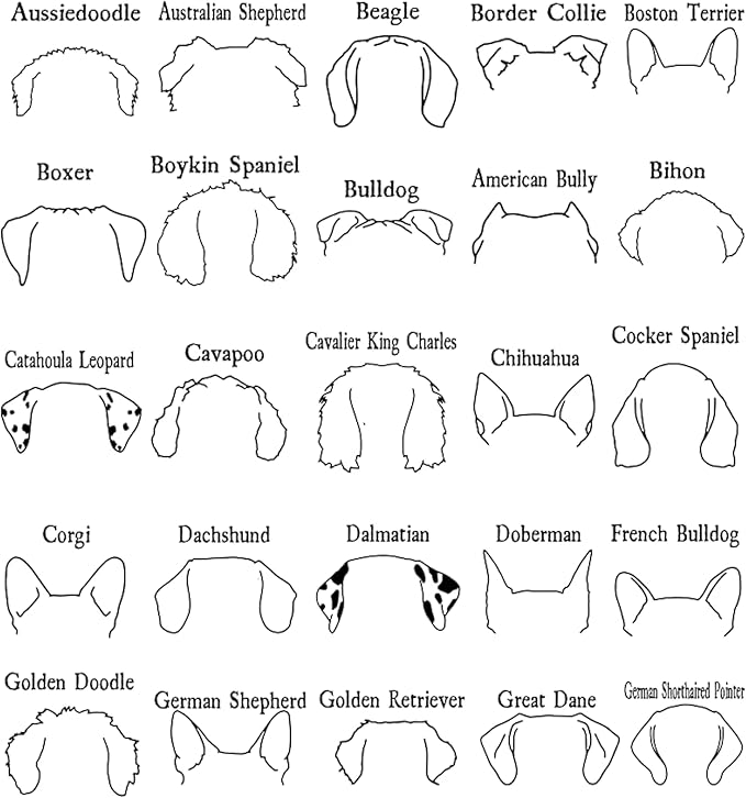 Personalized Embroidered Dog Hoodie, Personalised One-Line Dog Shirt, Unisex Embroidered Dog Hoodie, Dog Lovers Gifts