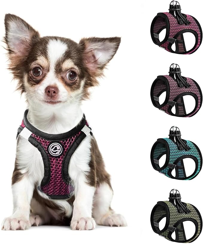 Step in Dog Harness Comfort Mesh Dog Vesr Harness Extra Small Pet Harness for Chihuahua Soft Padded Harness Lightweight Puppy Harness for Cat Doggie Outdoor Walking (Rose, Medium)