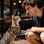 Dooradar Cat Harness and Leash Set, Escape Proof Safe Adjustable Kitten Vest Harnesses for Walking, Easy Control Soft Breathable Mesh Jacket with Reflective Strips for Cats, Orange, XS