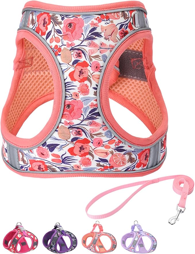 Step in Dog Harness and Leash Set, Flower Adjustable Easy Walk Puppy Harnesses, Soft Mesh Pet Vest Harness Small Size Dog Adjustable No Pull Dog Harness for Small Dogs and Cats(Pink, XXS)