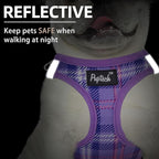 PUPTECK Dog Harness and Leash Set for Small Medium Dogs No Pull Step-in Soft Mesh Puppy Cat Vest Harnesses Reflective at Night, Plaid Pattern Purple M
