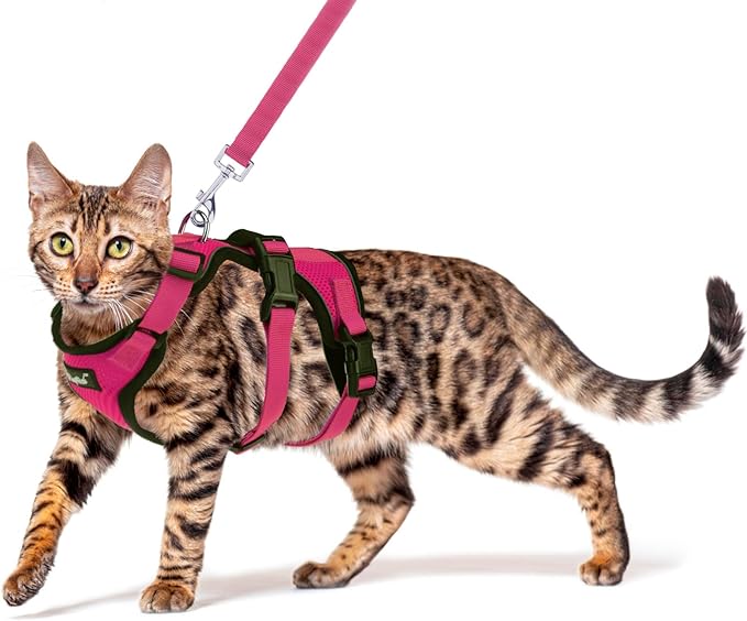 PUPTECK Cat Harness and Leash Set Escape Proof for Walking, Breathable Mesh Vest Adjustable Harness for Cats Puppy Small Animals, Reflective at Night, Fuschia Medium