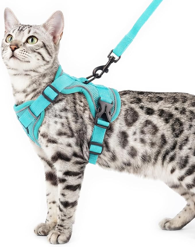 Cat Harness and Leash Set Escape Proof Tactical Medium Kitten Harness Emotional Support Cat Vest, Turquoise, M