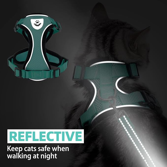 PUPTECK Cat Harness and Leash Set Escape Proof Reflective Cat Walking Harness Adjustable Soft Breathable Mesh Vest for Small Pets, Aquamarine, XS