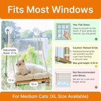 Cat Hammock with Industrial-Grade Suction Cups - Solid Pine Wood Seat, Soft Cushion - 42 lb Capacity