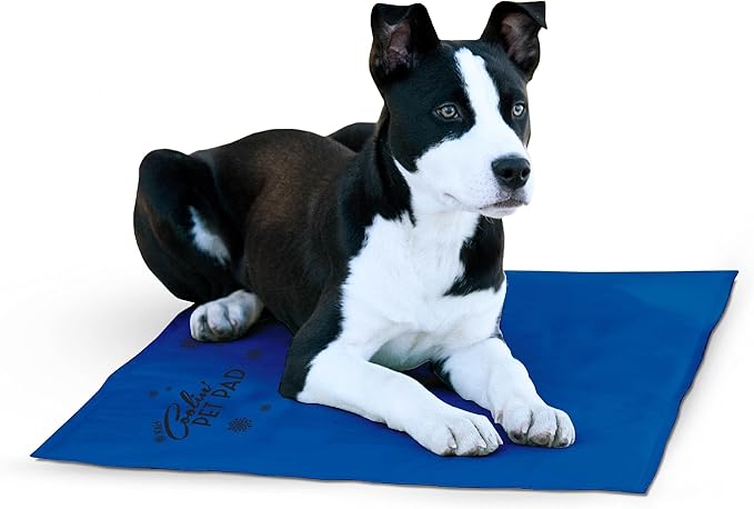 K&H Pet Products Coolin' Pet Pad Dog Mat, Portable Dog Cooling Mat for Travel or in Home, Perfect for Carriers, Crates, Outdoor Houses, Yards, Porches, Pet Beds & More - Large 36 X 20in Chill Blue