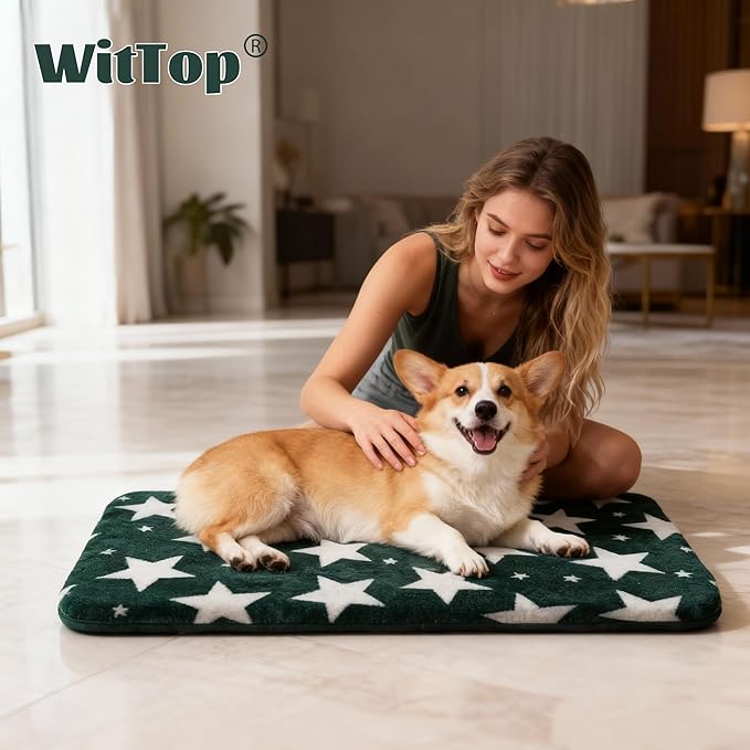 Washable Dog Bed Plush Orthopedic Outdoor Crate Mat with Non-Slip Bottom,Luxe Soft Kennel Pad for Pets, Cozy Cage Cushion & Pet Sleeping Mattress Large Sized,Medium,Small Dogs,24x18 inch,Green