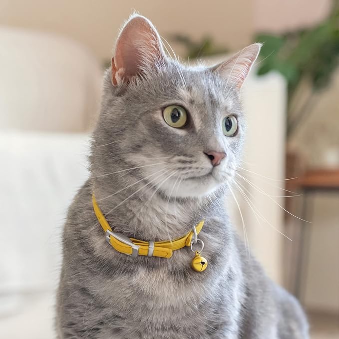 CollarDirect Leather Cat Collar with Bell - Kitten Collar, Small and Big Cat Strap for Boy Cats, Girl Cats with Safety Elastic Strap (Neck Fit 6"-7", Yellow)