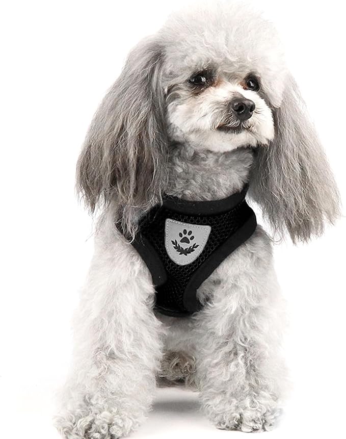 shudyear Summer cat Chest Harness and Leash, Anti-Escape Adjustable Soft mesh cat Leash and Chest Harness Set for All Types of Cats cat Vests (Size M,Black)
