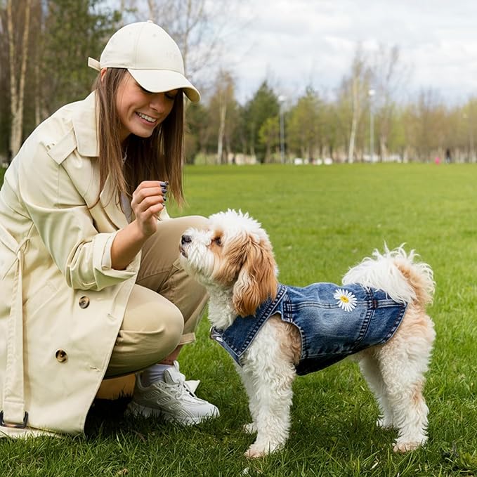 Dog Denim Jacket with Embroidered Daisy, Ripped Vintage Jean Vest for Small Dogs, Pugs, Chihuahuas, Spring Summer Autumn Festival Outfit (S)