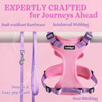 rabbitgoo Cat Harness and Leash for Walking, Escape Proof Soft Adjustable Vest Harnesses for Cats, Easy Control Breathable Reflective Strips Jacket, Pink & Purple, XXS