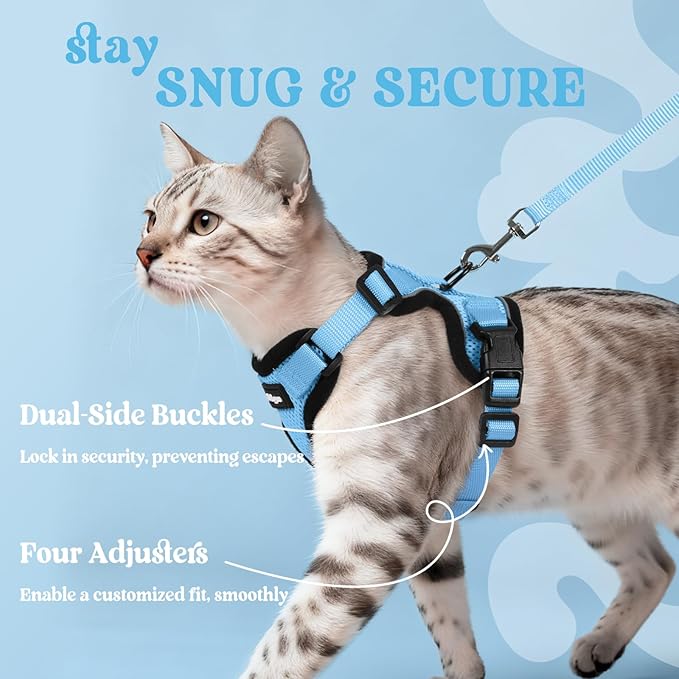 rabbitgoo Cat Harness and Leash for Walking, Escape Proof Soft Adjustable Vest Harnesses for Cats, Easy Control Breathable Reflective Strips Jacket, Light Blue, XXS