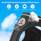 Hipubby Dog Harness and Leash Set, No Pull Soft Mesh Puppy Harness for Small Medium Dogs, Cats - Step in Reflective Breathable Lightweight Vest Harness for Walking, Training - Black, S