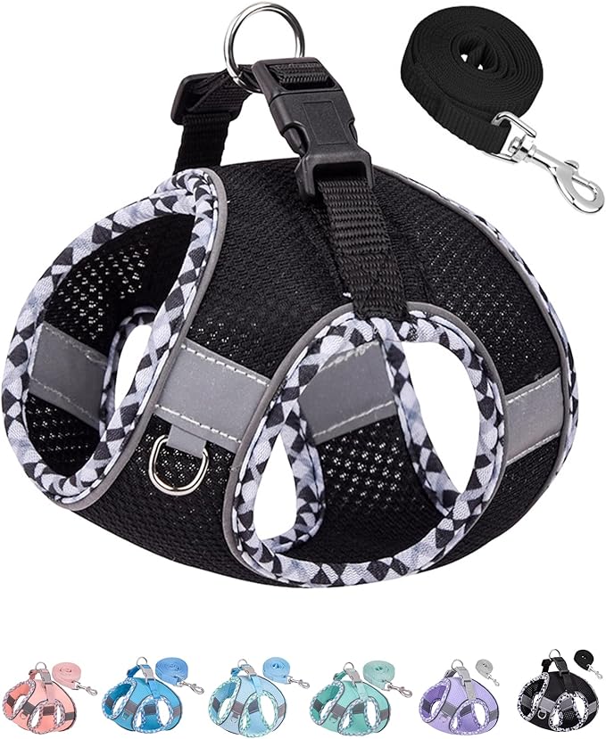 Petank Dog Harness for Small Medium Dogs No Pull, Puppy Harness and Leash Set, Step in Dog Harness for Walking, Running, Training(Black, S)