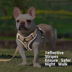No Pull Dog Harness with Leash Set for Medium Sized Dog, Reflective Adjustable No Choke Front Clip Cat Vest Harness with Breathable Mesh, Comfortable Soft Padded Pet Vest, Brown XL