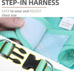 PUPTECK Dog Harness and Leash Set for Small Medium Dogs No Pull Step-in Soft Mesh Puppy Cat Vest Harnesses Reflective at Night, Plaid Pattern Green XS