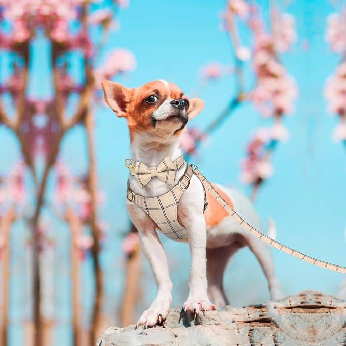 Beirui Cute Extra Small Dog Harness Collar and Leash Set with Bowtie, Soft Adjustable Plaid Puppy Harness for Small Sized Dogs Cats Walks Parties and Photoshoots(Beige,XXS:Chest 12-14")