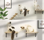 Cat Wall Shelves & Stairs - 2PCS Cat Furniture with 2PCS 4 Steps Climbing Shelves & Scratching Perches for Sleeping, Playing