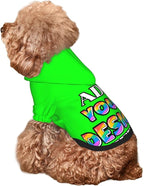 Custom Dog Hoodie, Personalized Dog Sweatshirt, Dog Clothes for Small Dogs Customizable, Lime, XS, Ropa para Perros Pequeños, Customized Pets Puppy Clothes, Personalized Gifts