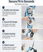Luxelle 2 Pack Escape-Proof Cat Harness and Leash Set for Walking – Adjustable No Pull Soft Vest with Easy-Wear Buckle, Reflective Straps, Breathable Mesh – Outdoor Travel Harness for Cats & Kittens