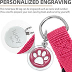 PUPTECK No Pull Dog Harness Soft Adjustable Basic Nylon Step in Puppy Vest Outdoor Walking with ID Tag X-Small DeepPink